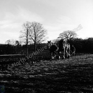 Ploughing, Birstwith